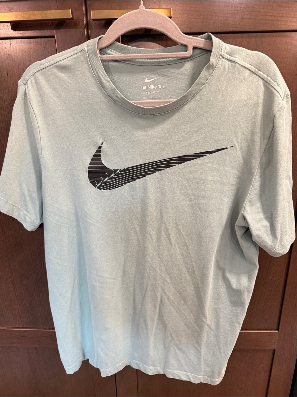 Nike Men's Pale Green T-Shirt with Black Swoosh